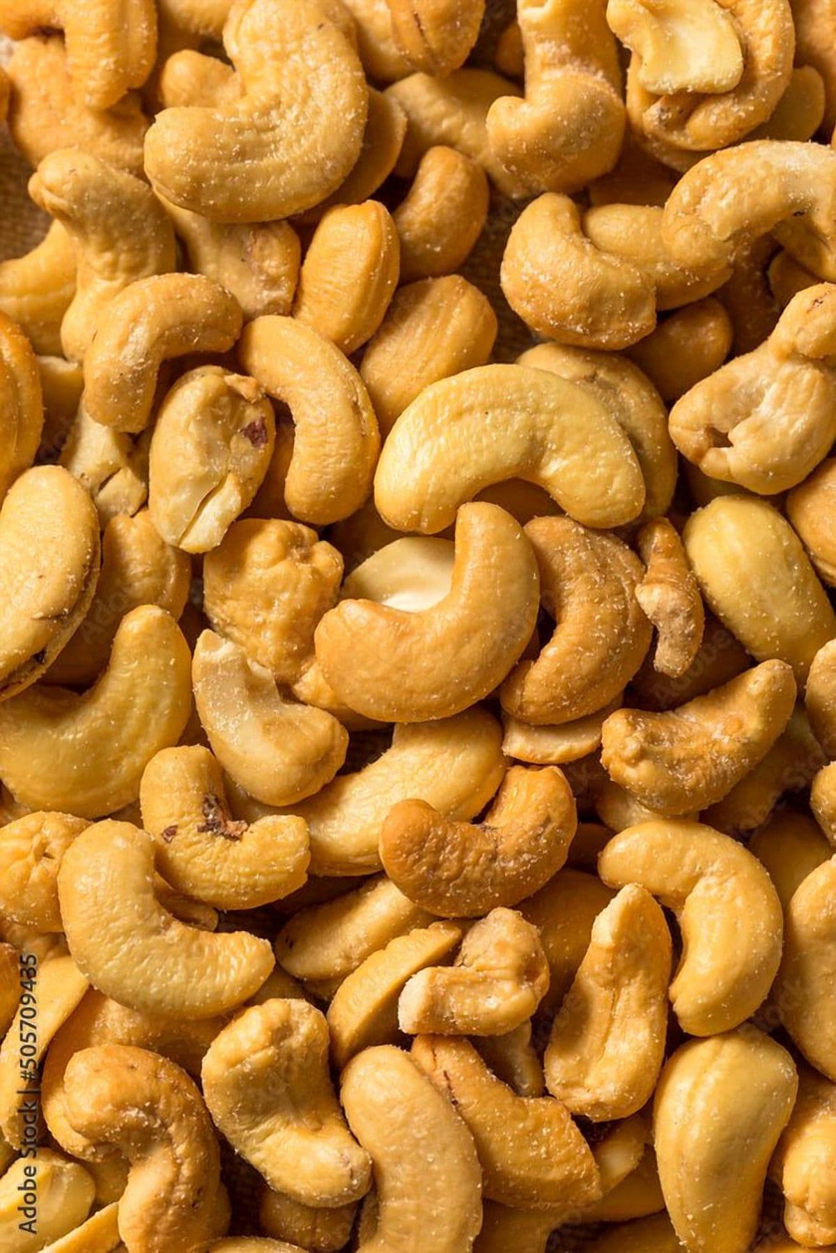 Cashew nut