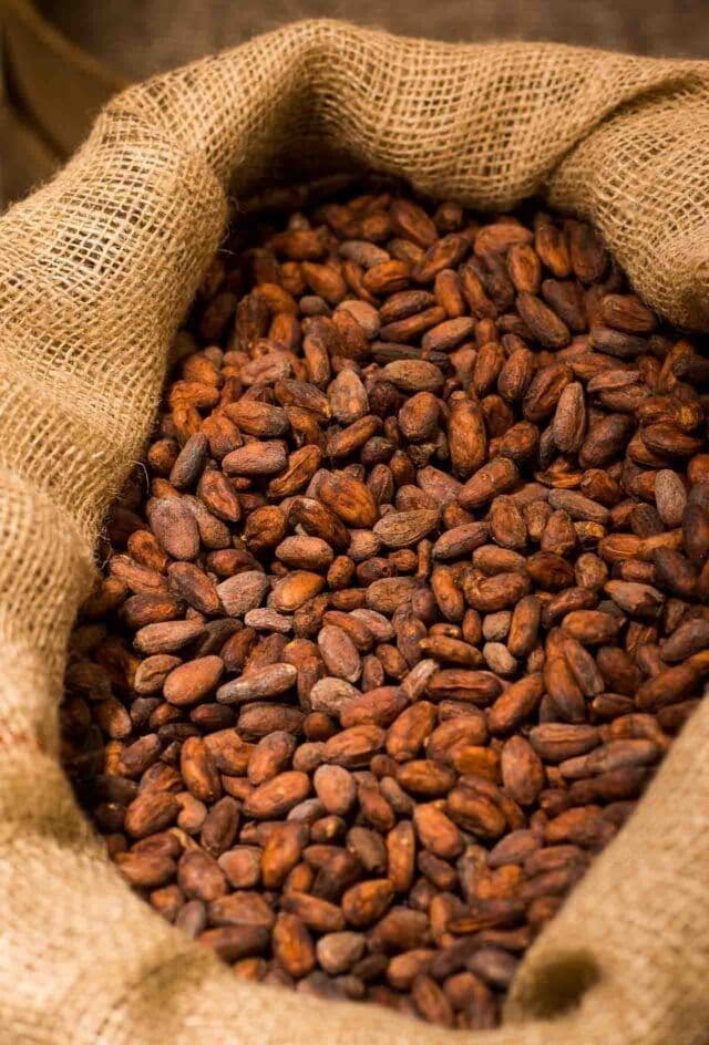 Cocoa