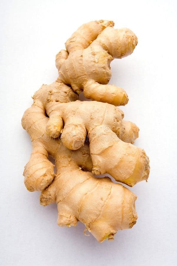 Ginger view 3
